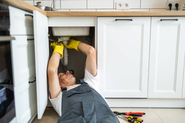 Best Affordable Plumbing Services  in Nicollet, MN